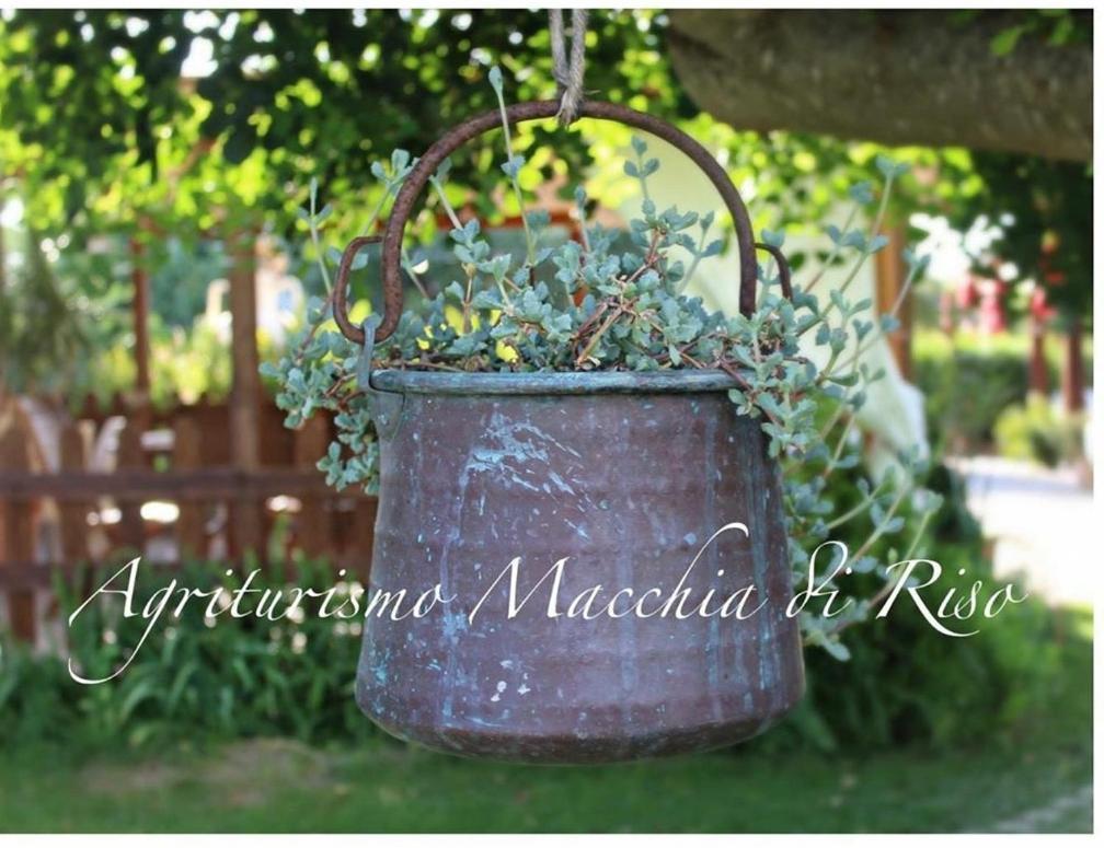 Agriturismo Macchia Di Riso Nova Siri Marina Exterior photo