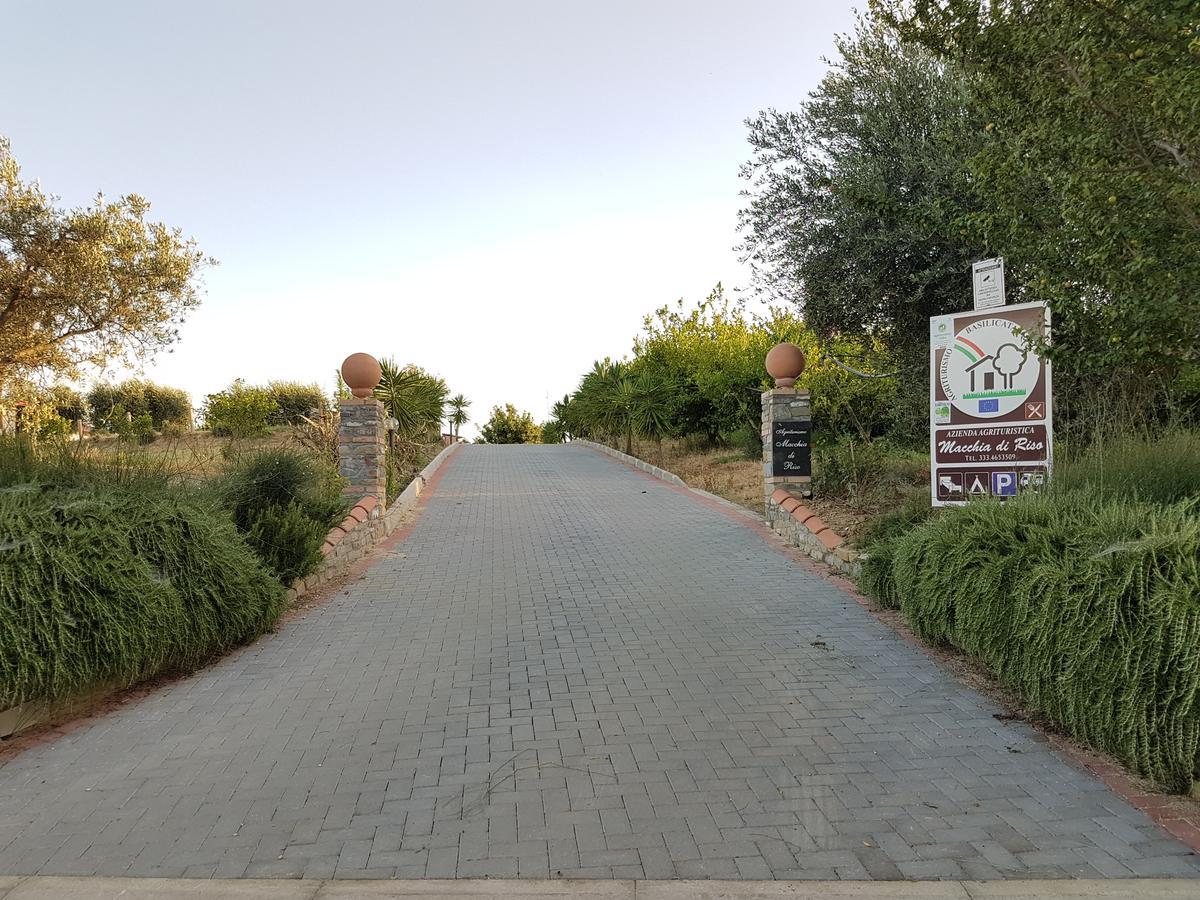 Agriturismo Macchia Di Riso Nova Siri Marina Exterior photo